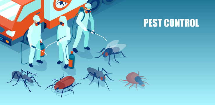 Protect Your Home with Effective Pest Control Las Vegas