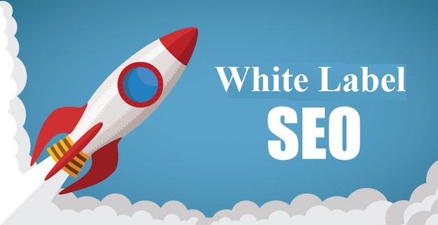 Driving Growth with White Label SEO Packages