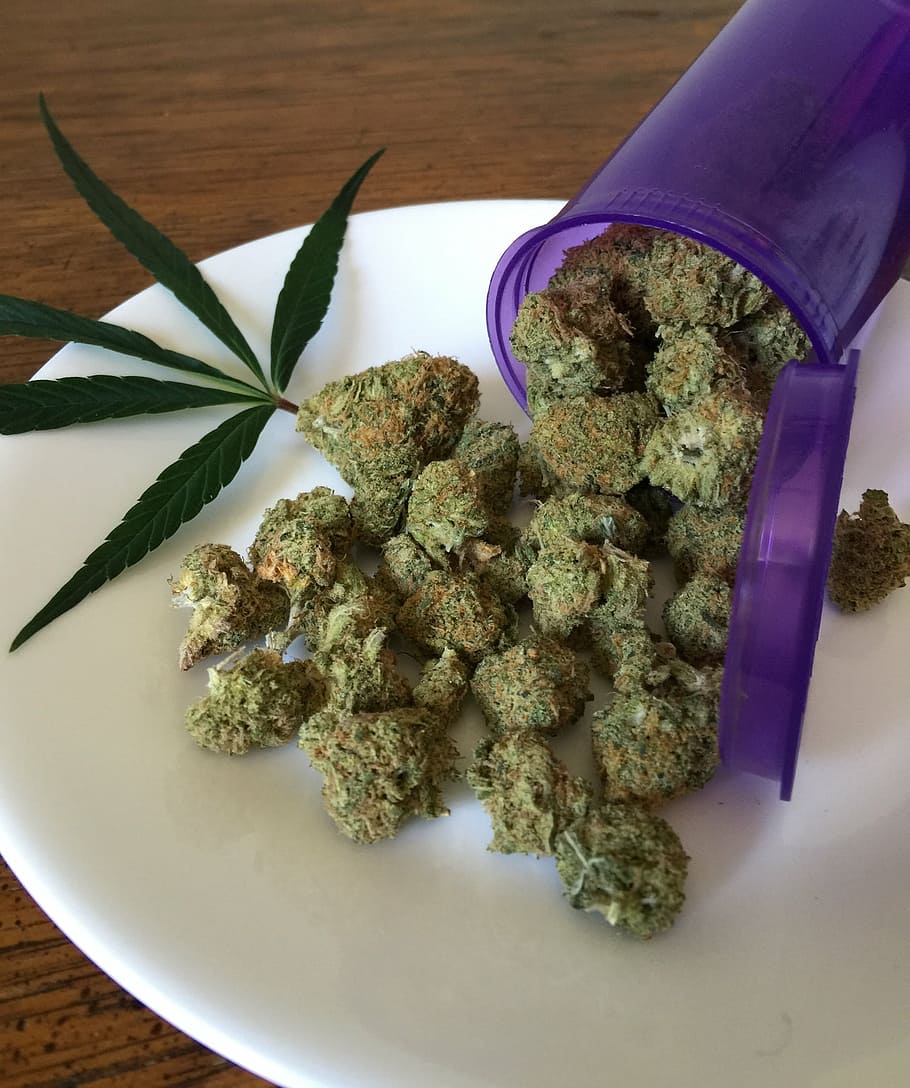 Buy Weed Canada: Your Source for Cannabis Excellence