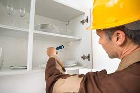 Emergency Pest Control Services in Las Vegas