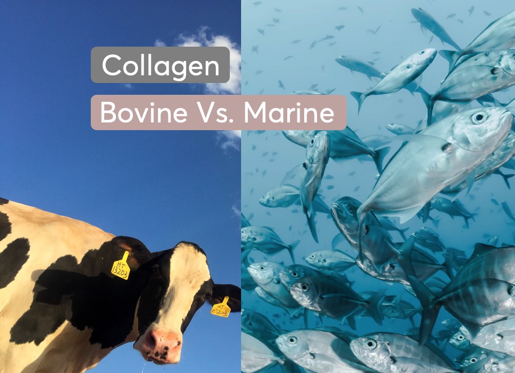 Collagen Powder: Your Radiance Enhancer