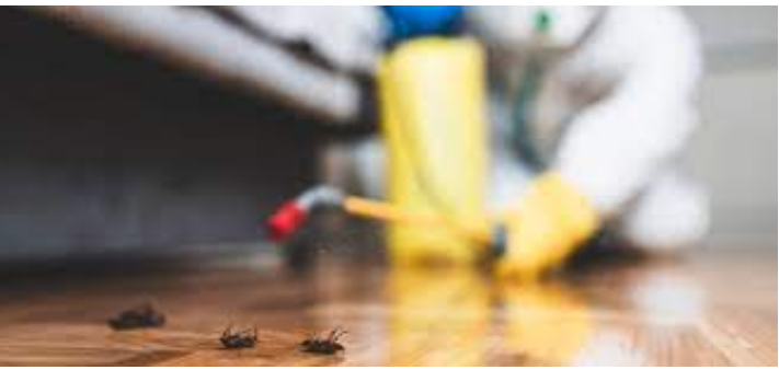 Pest Pest Control: Guidelines for Success