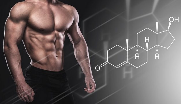 Customized Hormonal Benefits: Navigating the Integrative Path of TRT and HCG