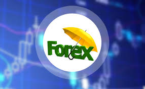 Risk Management in Forex market: Safeguarding Your Capital in the Currency Markets