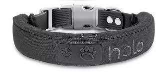 Why Halo Dog Collar is a Game-changer in Pet Care