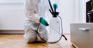 Exterminator Solutions: A Solution for Obstinate Pest Infestations