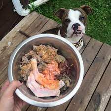 Best Raw Dog Food: Choosing Nutritional Excellence for Your Pet