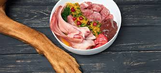 Raw Dog Food: An Organic Strategy to Canine Nourishment