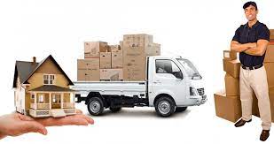 Vmove Chronicles: Sydney Removalists Redefining the Game