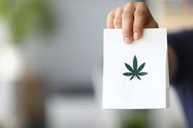 Leaf Life Dispensary: Your Path to Cannabis Wellness
