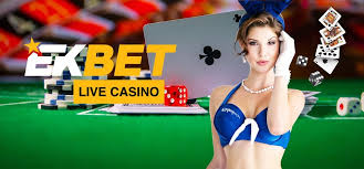 Eokbet: Where Every Bet Counts