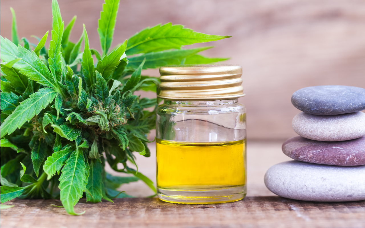 The CBD Phenomenon: A Journey into Holistic Health